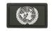 101 Inc. - 3D Patch - U. N. - OD Green (для страйкболу) 17031 фото 1