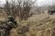 Airsoft аналог АС ВАЛ (AS VAL) [LCT] (для страйкболу) LCT-01-007225 фото 3