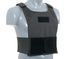 Concealable Plate Carrier - Black [8FIELDS] (для страйкбола) M51611043-BK фото 3
