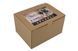 Аналог шолома X-Shield FAST BJ - black [Ultimate Tactical] (для страйкболу) UTT-21-007304 фото 8
