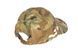 Czapka Blue label Baseball Cap - Multicam [Emerson] (для страйкбола) EME-23-027866 фото 2