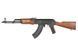 Штурмовая винтовка AKMN SPORTS LINE AEG [S&T] (для страйкбола) STAEG110FW фото 1