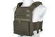 Тактичний жилет Plate Carrier Tactical Advanced Vest &mdash; Olive [Specna Arms] (для страйкболу) SPE-18-041880 фото 1