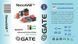 Układ Mosfet Gate NanoAAB [Gate] (для страйкбола) GAT-08-007322 фото 2