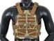 Розвантаження Frame Plate Carrier - Multicam [Emerson] (для страйкболу) EM7364MC фото 1