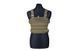 Жилет тактический (разгрузочный) MINI Chest Rig - olive [GFC Tactical] (для страйкбола) GFT-18-009830 фото 3