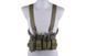 Розвантаження Fast Chest Rig - olive [GFC Tactical] (для страйкболу) GFT-18-018419 фото 2