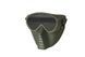 Маска Ventus Eco - olive [GFC Tactical] GFT-28-036150 фото