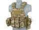 Модульний Plate Carrier - Multicam [EMERSON] (для страйкболу) EM7440H фото 2