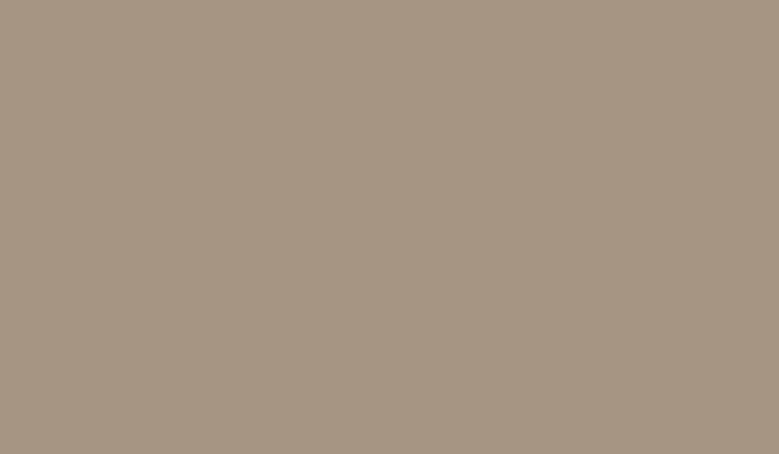 Краска маскировочная - Desert [FOSCO] FOS-17-010883(9834) фото