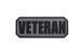 Нашивка 3D - Veteran - Black [GFC Tactical]&nbsp;(для страйкболу) GFT-30-009553 фото