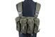 Жилет тактичний (розвантажувальний) типу Chest Rig - olive [GFC Tactical] (для страйкболу) GFT-18-000927 фото 2