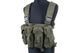 Жилет тактичний (розвантажувальний) типу Chest Rig - olive [GFC Tactical] (для страйкболу) GFT-18-000927 фото 1