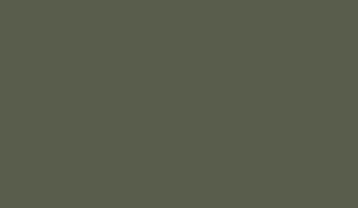 FOSCO - Фарба маскувальна RAL 6003 - DDR Green 8823 фото