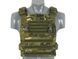 Многозадачный Plate Carrier - Multicam Tropic [8FIELDS] M51611056-MT фото