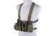 Разгрузка Fast Chest Rig - olive [Primal Gear] (для страйкбола) PRI-18-024443 фото 1